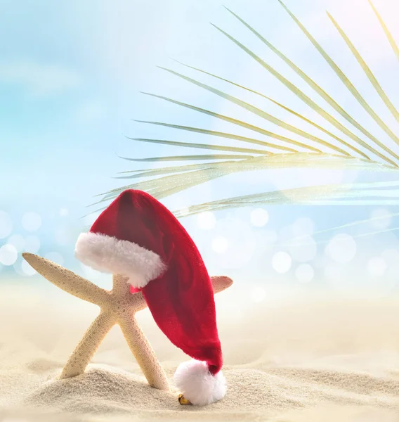 Stella marina in cappello Babbo Natale sulla spiaggia estiva. Concetto Natale — Foto Stock