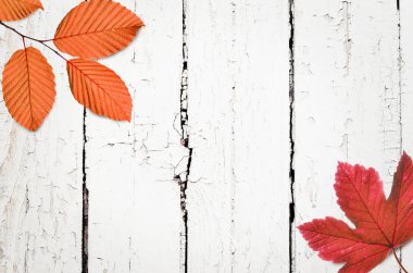 Sonbahar arkaplanı ahşap tahtada, üst görünümde