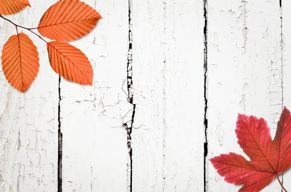 Sonbahar arkaplanı ahşap tahtada, üst görünümde