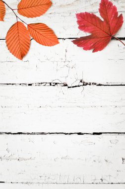 Sonbahar arkaplanı ahşap tahtada, üst görünümde