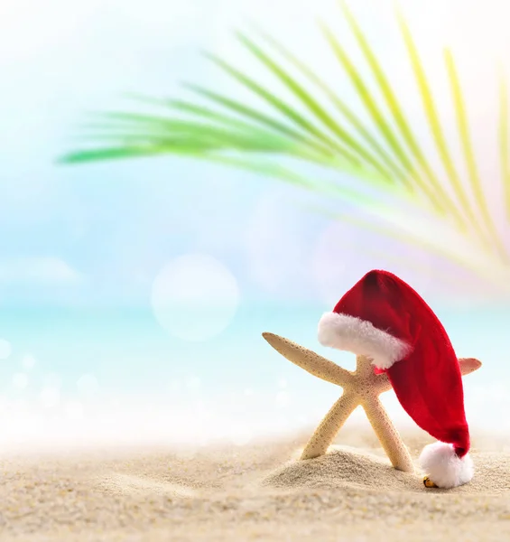 Stella marina in cappello Babbo Natale sulla spiaggia estiva. Concetto Natale — Foto Stock