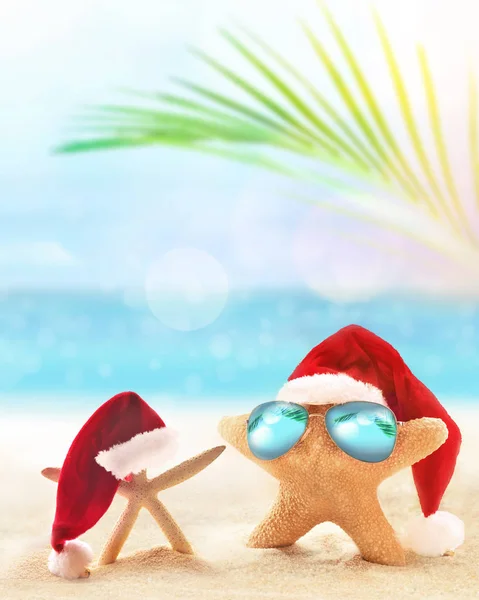 Starfish w Santa kapelusz na letniej plaży. Koncepcja Świąteczna — Zdjęcie stockowe