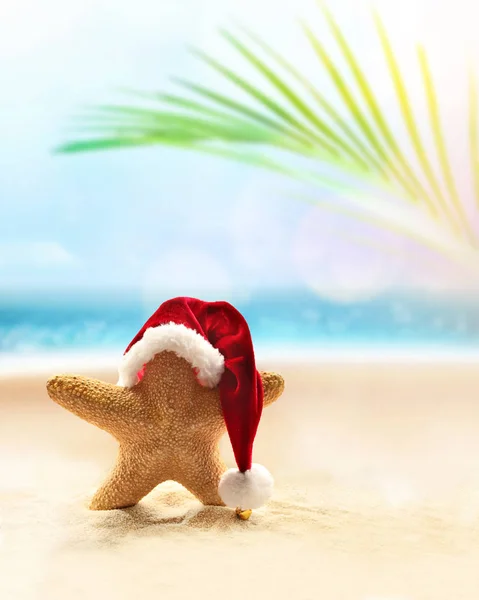 Stella marina in cappello Babbo Natale sulla spiaggia estiva. Concetto Natale — Foto Stock