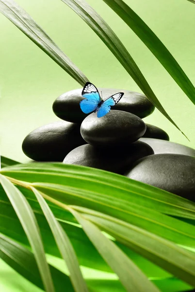 Butterfly, light and balanced stones. Green leaf. Spa concept. — Stock Photo, Image