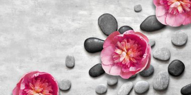 Spa taşları ile düz yatıyordu kompozisyon, gri arka plan üzerinde pion pembe çiçek.