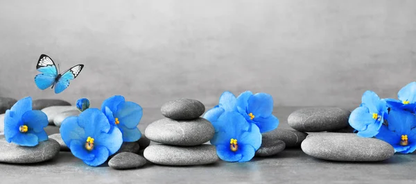 Zen-Steine und violette Blumen auf grauem Hintergrund. — Stockfoto