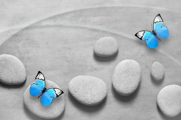 Composición plana con piedras de spa y mariposa sobre fondo gris . — Foto de Stock