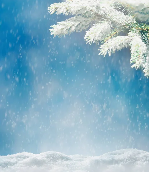 Hermoso paisaje de invierno nevado con una rama de abeto nevado, copos de nieve y cielo azul. Fondo de Navidad de invierno . —  Fotos de Stock
