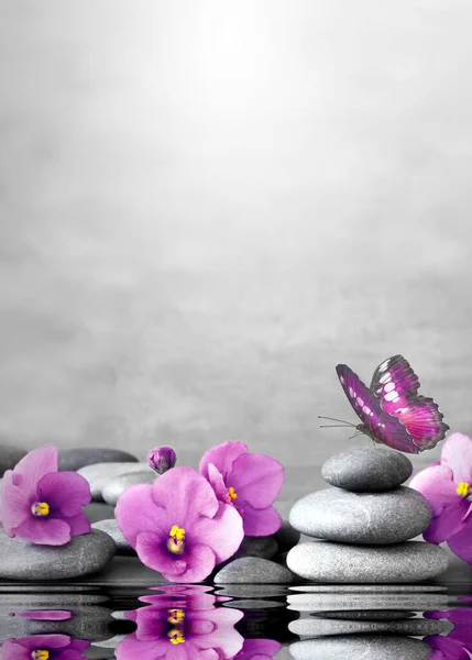 Krásná květina, motýl a kámen zen lázně na šedém pozadí. — Stock fotografie