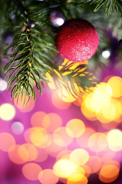 Bola de Natal na árvore de Natal — Fotografia de Stock