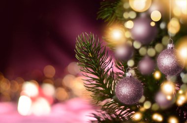 Taşaklı dallar ve Noel arkaplanında ışıltılı ışıklar.