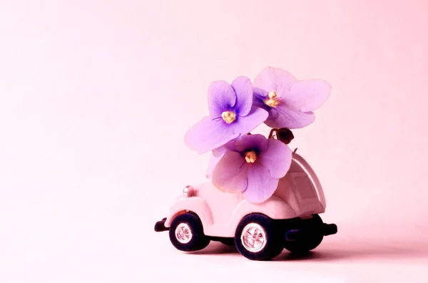 Lviv ウクライナ 2020年6月4日 ピンクの背景にピンクの花束の花を提供する小さなおもちゃの車でカード — ストック写真