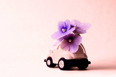 Küçük oyuncak arabalı kart pembe arka planda pembe buket çiçekler dağıtıyor..