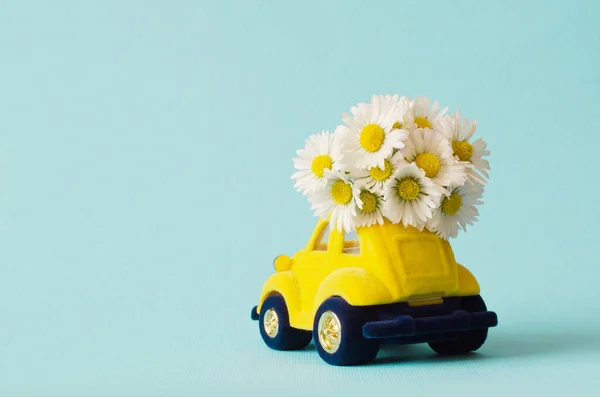 Card with a little toy car delivering white bouquet flowers on blue background.