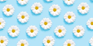 Mavi arka planda beyaz papatya mili. Kusursuz desen kavramı.