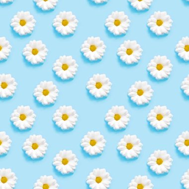 Mavi arka planda beyaz papatya mili. Kusursuz desen kavramı.