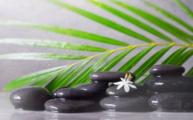 Gri arkaplanda siyah taşlar, palmiye yaprağı ve beyaz çiçekli kaplıca konsepti.