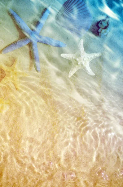 砂と波で夏のビーチでヒトデ 夏の背景 夏時間 — ストック写真