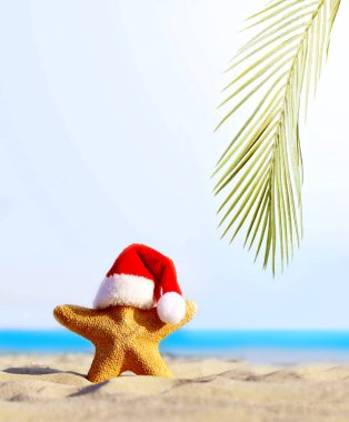 Yaz plajı. Mutlu noeller. Noel Baba şapkalı denizyıldızı.