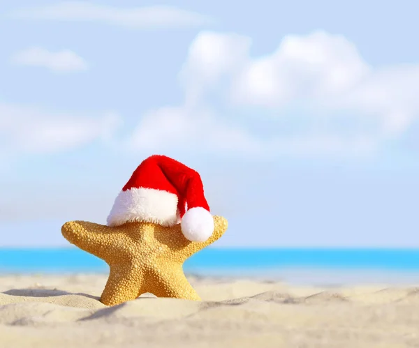 Spiaggia Estiva Buon Natale Ciao Stella Marina Cappello Babbo Natale — Foto Stock