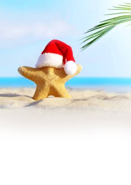 Yaz plajı. Mutlu noeller. Noel Baba şapkalı denizyıldızı.