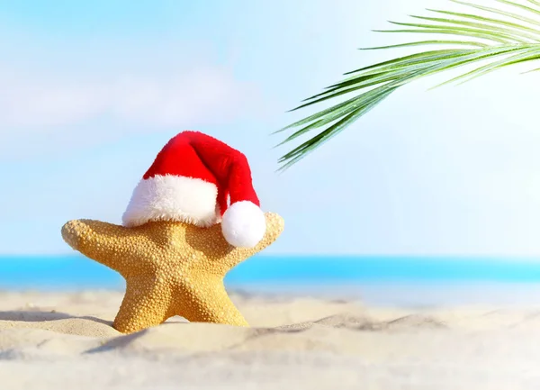 Letnia Plaża Wesołych Świąt Rozgwiazdy Kapeluszu Świętego Mikołaja — Zdjęcie stockowe