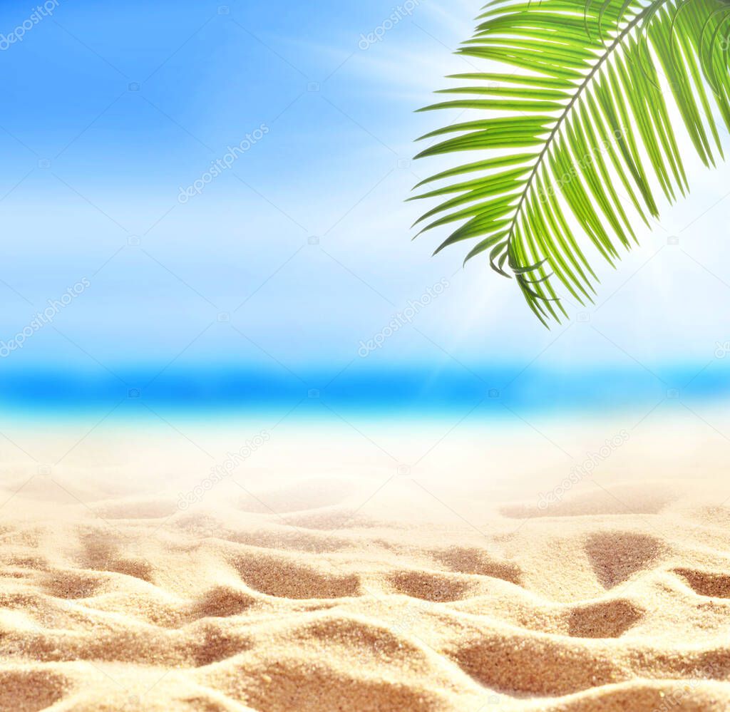 Summer sand beach background. Green palm leaf, sea and sky. Summer concept.