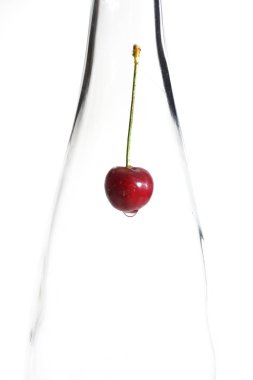Bir dut bir şişe ile soyutlama. Berry bir şişeye koy. Şişe berry bulunur bir dağılımı gibi görünüyor