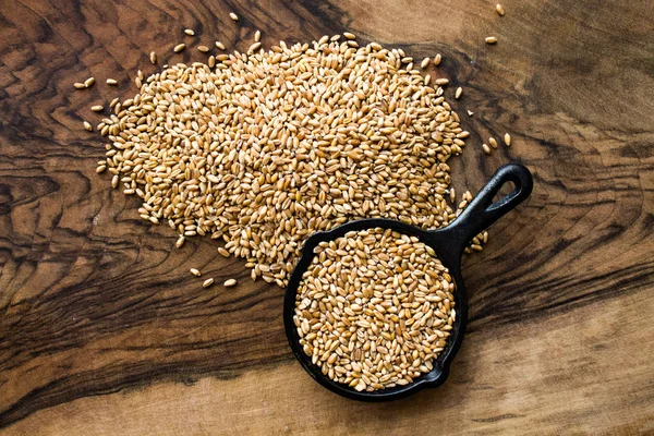 Grains of wheat — Stock Photo, Image