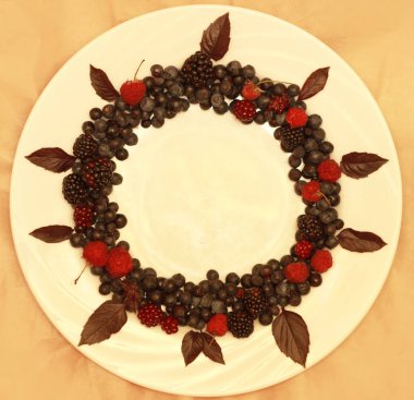 Taze çekilen meyveleri daire şeklinde beyaz arka plan üzerinde ürün yelpazesine.