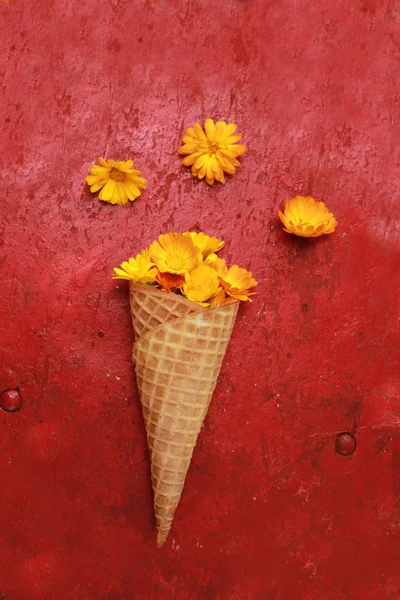 Hermosas flores amarillas en un cuerno de gofre sobre un fondo rojo — Foto de Stock