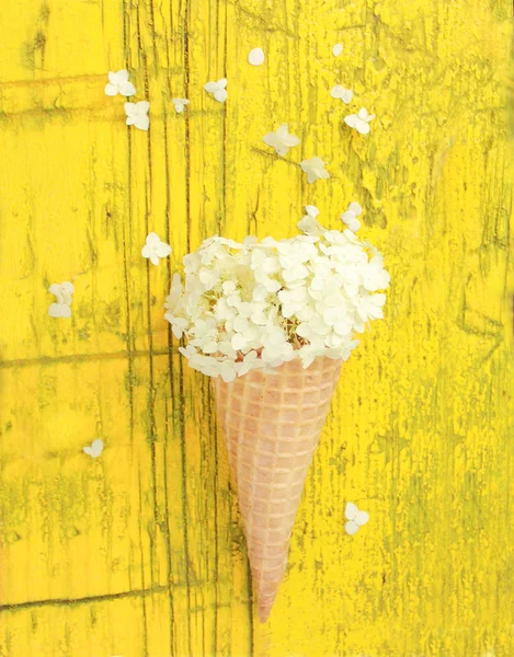 Krásné bílé květy zvony v vafle roh na žlutém pozadí — Stock fotografie