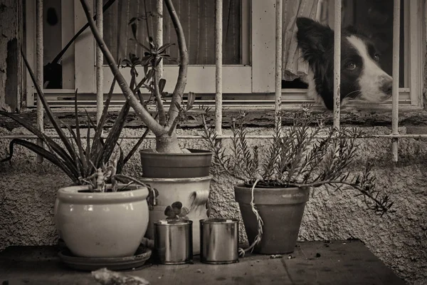 Tel Aviv'e seyahat... Neve Tzedek ... 