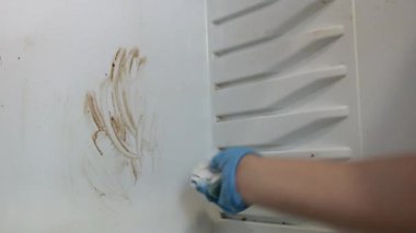Bir mavi kauçuk eldiven kadın elinde kir içinde buzdolabı mendil.