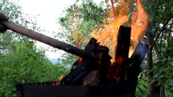木の背景でバーベキューの火 — ストック動画