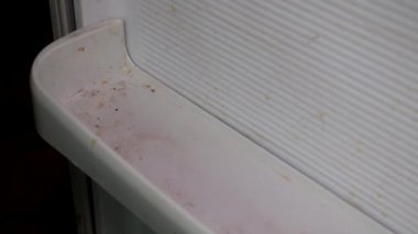 Mavi kauçuk eldiven içinde el uzağa kir buzdolabı rafta yıkar.