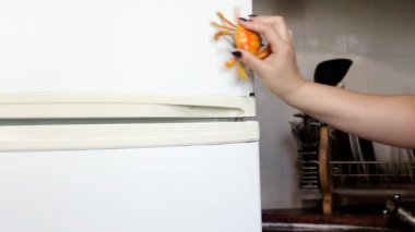 el bir yengeç mıknatıs buzdolabı kapı ilişir ve bir limon
