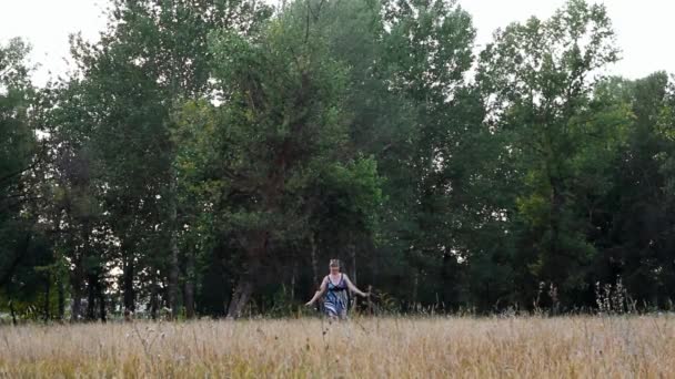 Een vrouw in een kleurrijke sundress loopt in het hoge droge gras naar de camera — Stockvideo