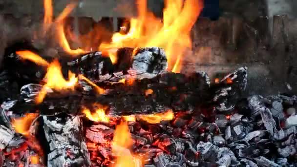 Burning Logs Grill — Stock Video