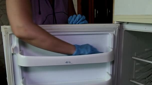 Mano Femenina Guante Goma Azul Lava Activamente Puerta Del Refrigerador — Vídeo de stock