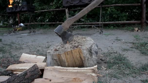 Člověk Shromažďuje Dřevo Nese Pánve — Stock video