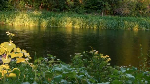 Hombre Flotando Río Aguas Abajo — Vídeos de Stock