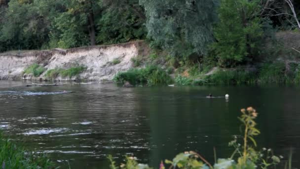 deux hommes dans une rivière attrapent une balle 