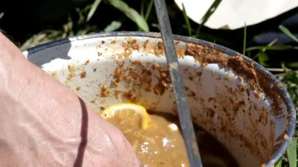 Tangan Laki Laki Digantung Potongan Daging Pada Tusuk Sate Rumput — Stok Video