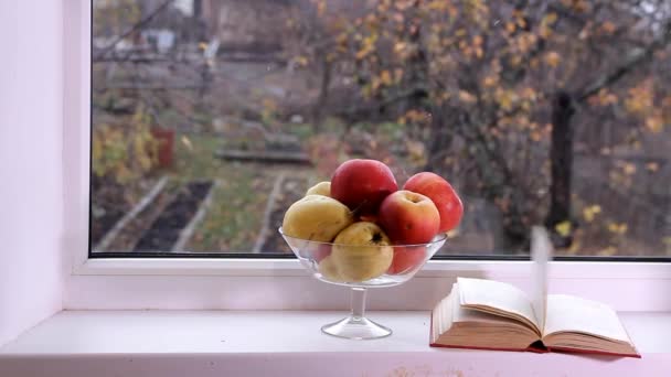 Ein Buch Mit Beweglichen Seiten Liegt Auf Einem Weißen Fensterbrett — Stockvideo