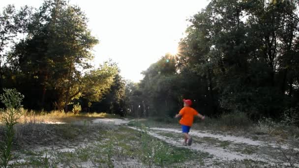 Niño Con Ropa Brillante Corre Largo Sendero Forestal Detrás Ciclista — Vídeos de Stock