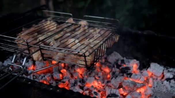 Dřevěné Uhlí Pečené Maso Mřížce — Stock video