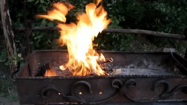 Kleine Takken Zijn Branden Grill — Stockvideo