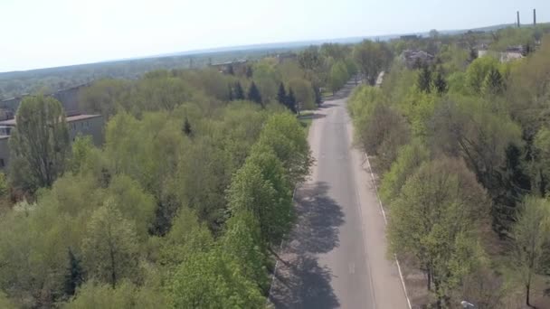 Uzun boylu ağaçlar arasındaki yol üzerinde kamera hareketi — Stok video