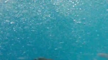 gözlüklü giysiler içinde çocuk batan havuzda